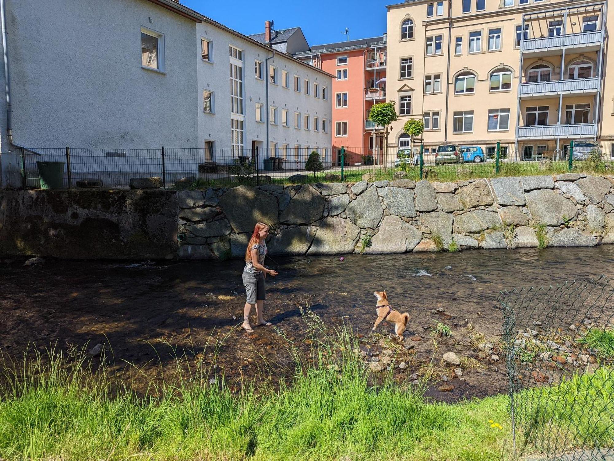 Ut - Urlaubsmagie - Urlaubstraum Mit Whirlpool, Pool & Sauna Sebnitz Exteriér fotografie